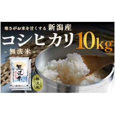 無洗米 新潟産 コシヒカリ 10kg (5kg×2) 令和7年産[54071788]
