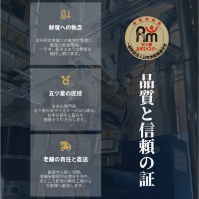 無洗米 新潟産 コシヒカリ 3kg 令和7年産[54071789]