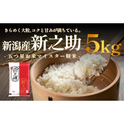 新潟産 新之助5kg 産地直送[54071791]