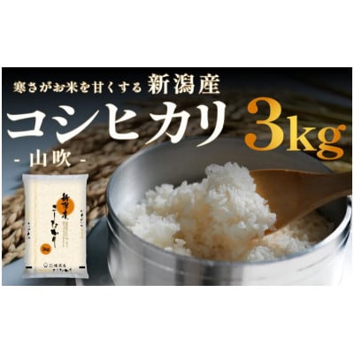 新潟産 コシヒカリ 3kg 令和7年産[54071792]
