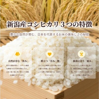 新潟産 コシヒカリ 3kg 令和7年産[54071792]