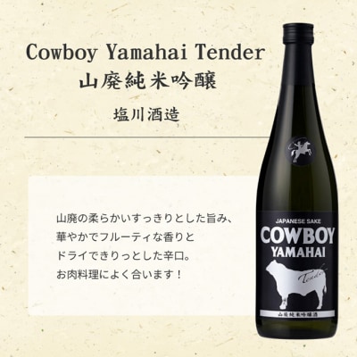 日本酒 塩川酒造 のみくらべ セット 720ml × 2本[54070988]