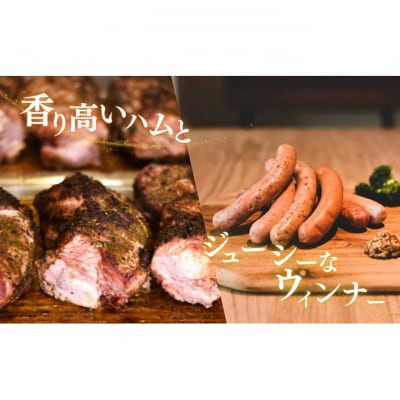 メッツゲライテラ　セレクトファイブ [54070927]