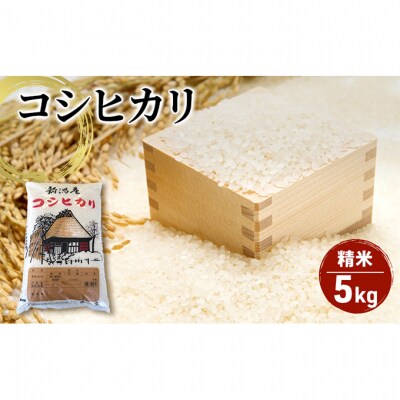 【令和7年産】新潟産 コシヒカリ精米5kg「従来品種」[54071049]