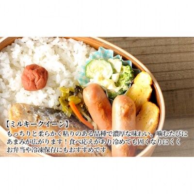 【令和7年産】新潟産 ミルキークイーン精米5kg[54071050]