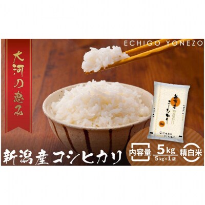 新潟市産コシヒカリ 白米5kg[54071016]