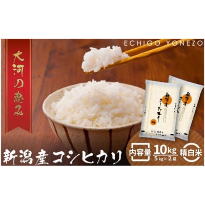新潟市産コシヒカリ 白米10kg [54071019]