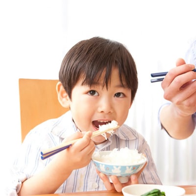 新潟市産コシヒカリ 白米10kg [54071019]