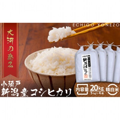 新潟市産コシヒカリ 白米20kg[54071022]