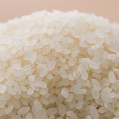 新潟市産コシヒカリ 白米20kg[54071022]