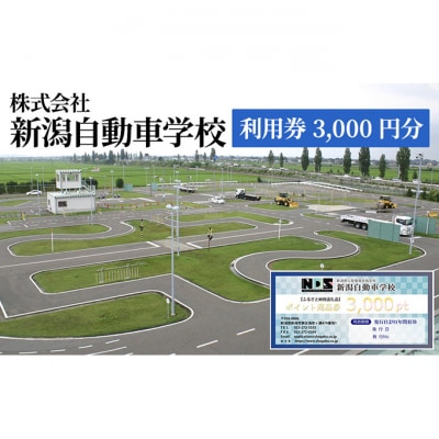 株式会社　新潟自動車学校　利用券3,000 円分 体験チケット [54071041]