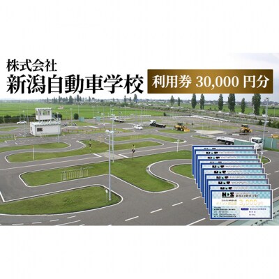 株式会社　新潟自動車学校　利用券30,000 円分 体験チケット [54071042]