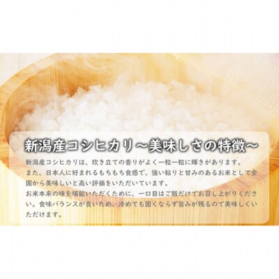 新潟産コシヒカリ10kg [54071045]