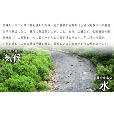 新潟産コシヒカリ10kg [54071045]