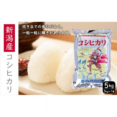 新潟産コシヒカリ 5kg[54071296]