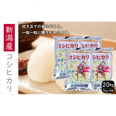 新潟産 コシヒカリ 20kg[54071302]
