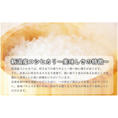 有機栽培米 新潟産コシヒカリ5kg [54071457]