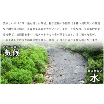 有機栽培米 新潟産コシヒカリ10kg [54071458]