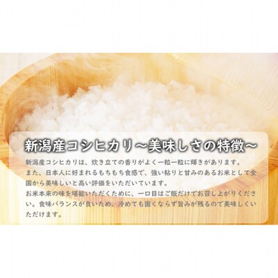 特別栽培米新潟県産コシヒカリ10kg[54071588]