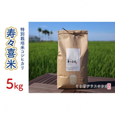 特別栽培米コシヒカリ 寿々喜米 5kg(精米)[54071146]