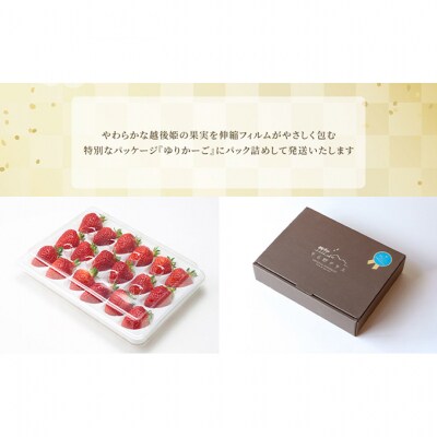 SOLANO SPECIALITE『越後姫』9～15粒 [54071269]