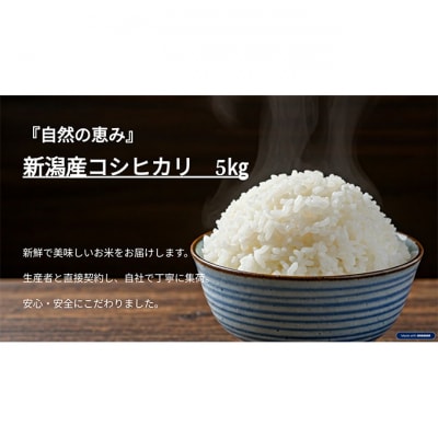新潟産コシヒカリ 5kg [54071121]