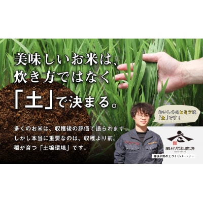 新潟産コシヒカリ 5kg [54071121]