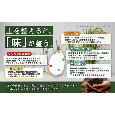 新潟産コシヒカリ 5kg [54071121]