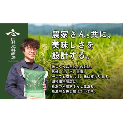 新潟産コシヒカリ 5kg [54071121]