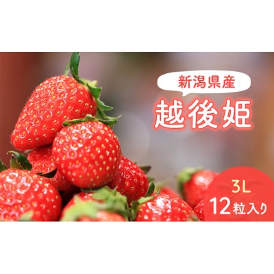 【予約受注】2026年2月下旬より発送新潟県産越後姫3L　12粒入り [54071260]