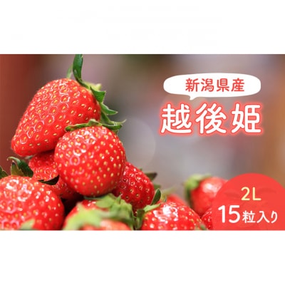 【予約受注】2026年2月下旬より発送　新潟県産越後姫2L　15粒入り [54071261]