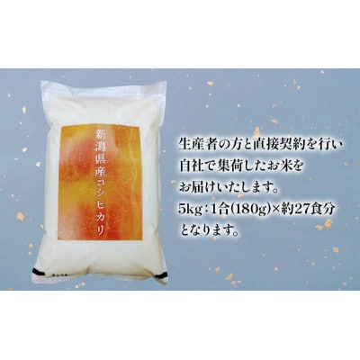 【毎月定期便】新潟産コシヒカリ 5kg お米 [54071122]全6回