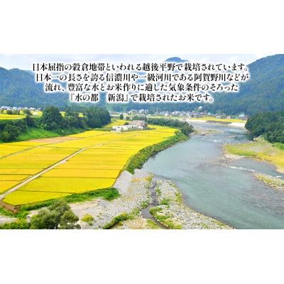 【毎月定期便】新潟産コシヒカリ 5kg お米 [54071122]全6回