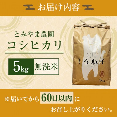 【令和6年産】こしひかり 無洗米 5kg 新潟産 [54071190]
