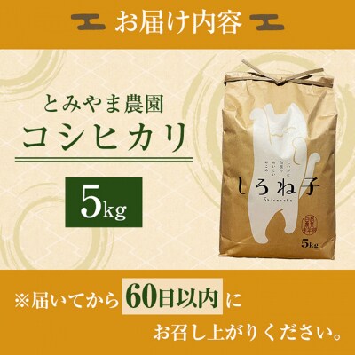 【令和6年産】こしひかり 精米 5kg 新潟産 [54071191]