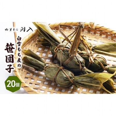 白雪もち麦の笹団子 [54071181]