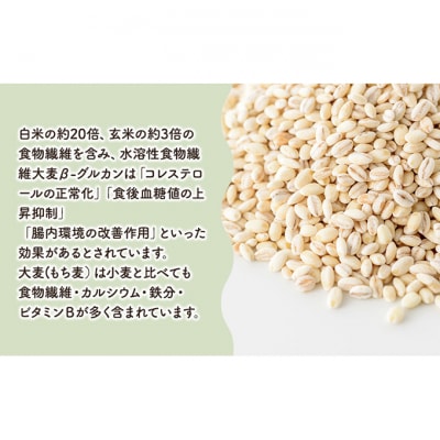 秋葉の里　白雪もち麦 [54071182]