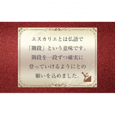国際チョコレートアワード受賞セット　5枚入り[54071361]