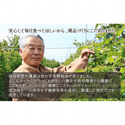 ボイセンベリー　スティックジュレ　2袋 [54071372]