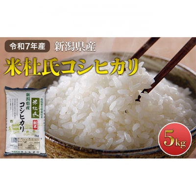 令和7年産 新潟米杜氏コシヒカリ精米5kg[54071433]