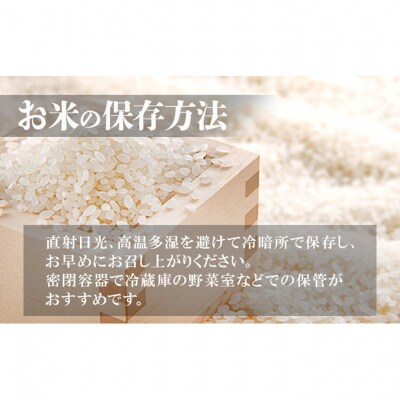 令和7年産 新潟米杜氏コシヒカリ精米5kg[54071433]