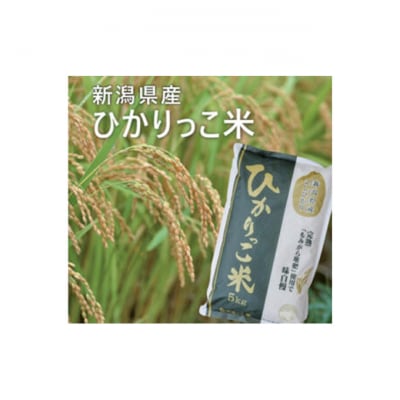 新潟コシヒカリ5kg(ひかりっこ米)精米 [54071399]