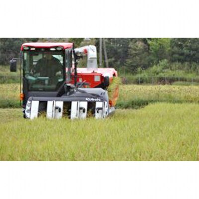 新潟コシヒカリ5kg(ひかりっこ米)精米 [54071399]