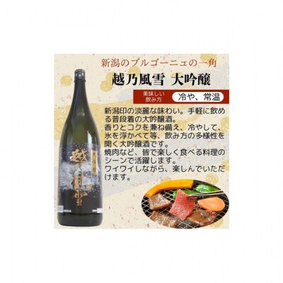 越後銘門酒会 新潟市の銘酒 飲み比べ 1800ml×2本 N182A[54071454]