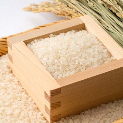新潟産虹の煌めき10kg (5kg×2)[54071470]