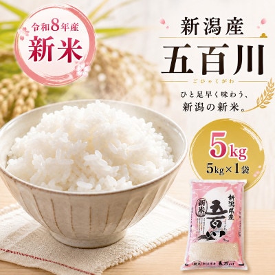 令和8年産新米新潟産五百川5kg[54072413]