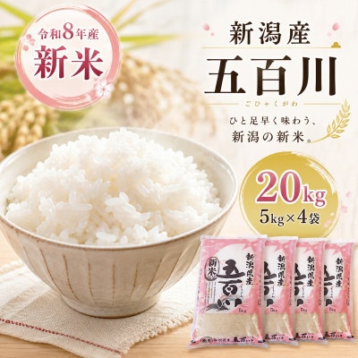 令和8年産新米新潟産五百川20kg(5kg×4本)[54072415]