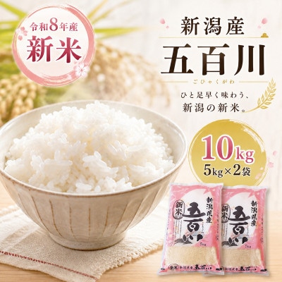 令和8年産新米新潟産五百川10kg(5kg×2本)[54072414]