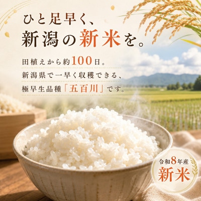 令和8年産新米新潟産五百川10kg(5kg×2本)[54072414]