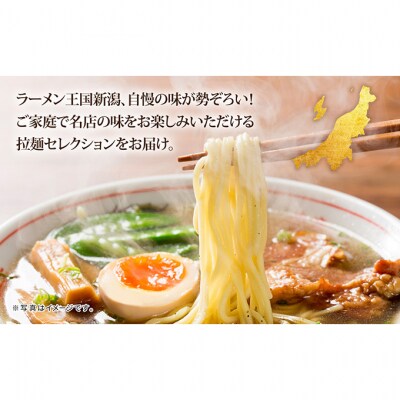 新潟 拉麺 セレクション 4種 セット2箱 計16食 [54071464]
